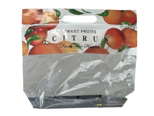 パーソナライズされた食品包装 パンチホールを持つ果物のためのスタンドアップジッパーバッグ